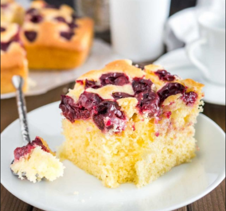 keik-me-kerasia-pita-me-frouta-cranberries-glika-eisaimonadikigr